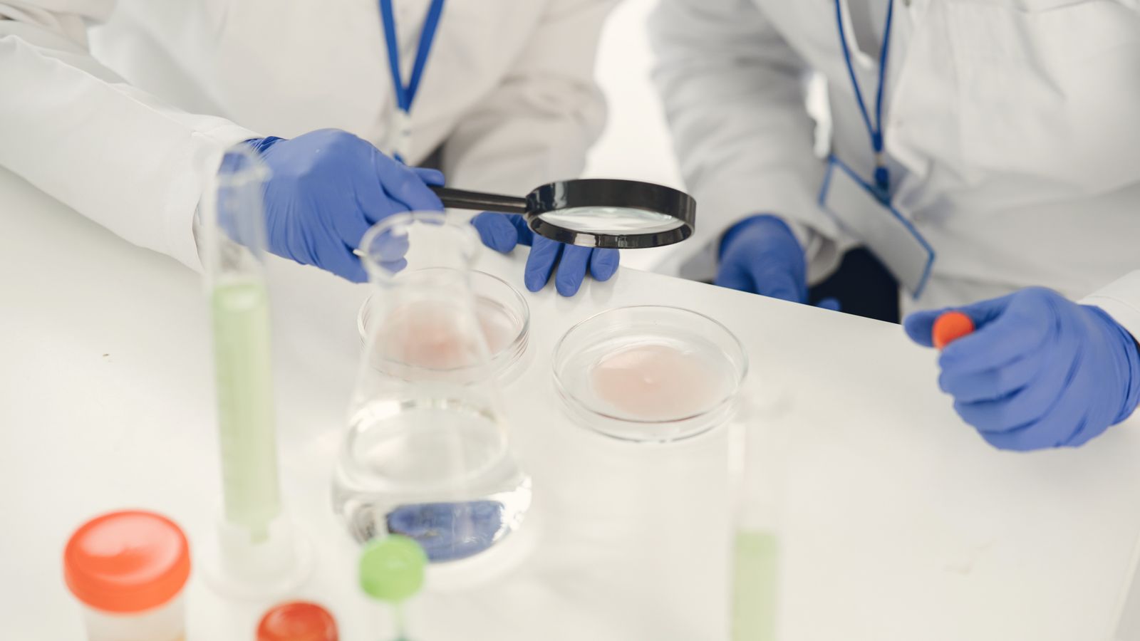 Gloved researchers examine laboratory samples in petri dishes using a magnifying glass.